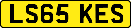LS65KES
