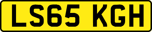 LS65KGH