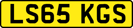 LS65KGS