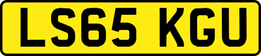 LS65KGU