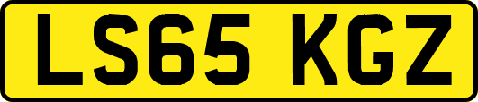 LS65KGZ