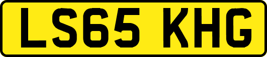LS65KHG