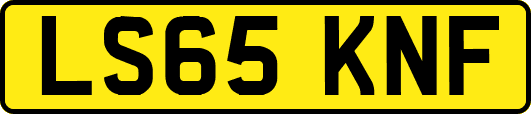 LS65KNF