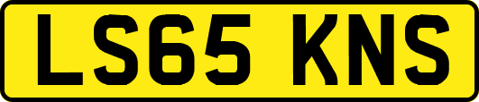LS65KNS