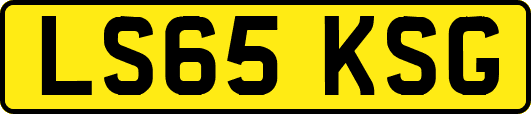 LS65KSG