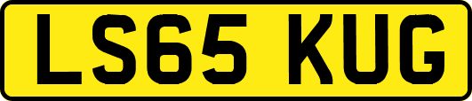 LS65KUG