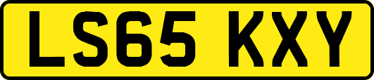 LS65KXY