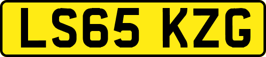 LS65KZG