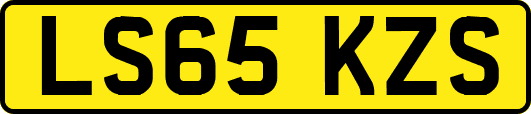 LS65KZS
