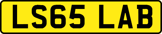 LS65LAB