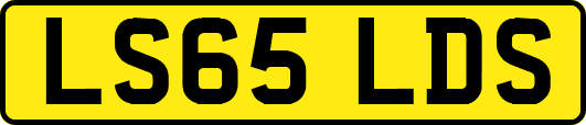 LS65LDS