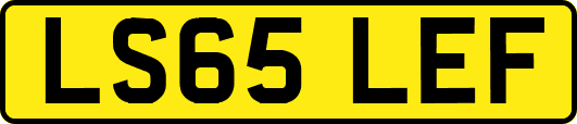 LS65LEF