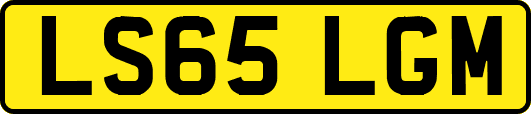 LS65LGM