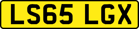 LS65LGX
