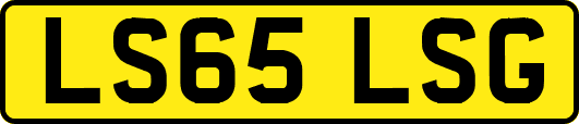 LS65LSG