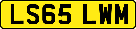 LS65LWM