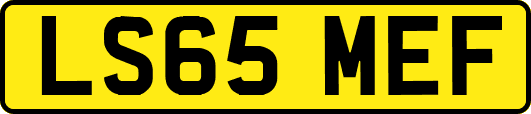 LS65MEF