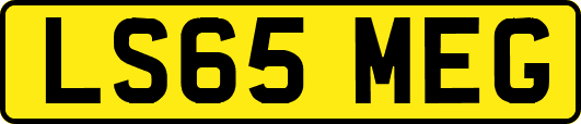 LS65MEG