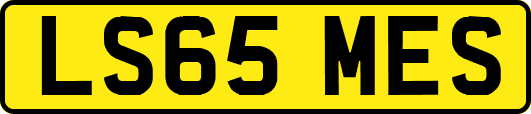 LS65MES