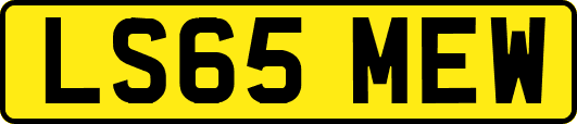 LS65MEW