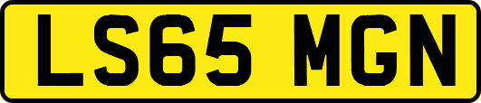 LS65MGN