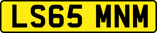 LS65MNM