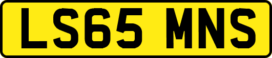 LS65MNS