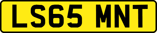LS65MNT
