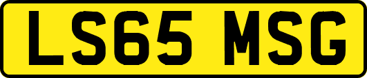LS65MSG