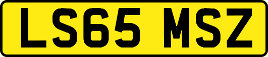 LS65MSZ