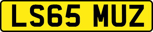 LS65MUZ