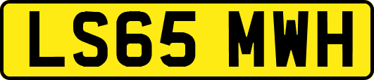 LS65MWH