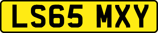 LS65MXY