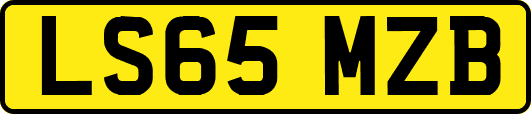 LS65MZB