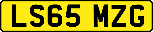 LS65MZG