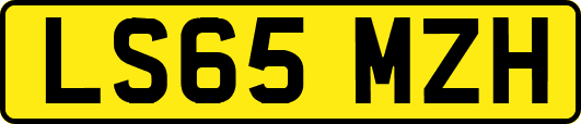 LS65MZH