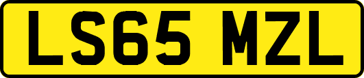 LS65MZL
