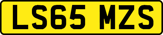 LS65MZS