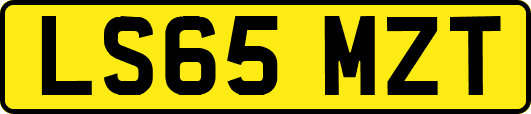 LS65MZT