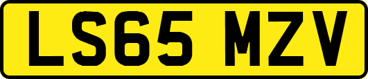 LS65MZV