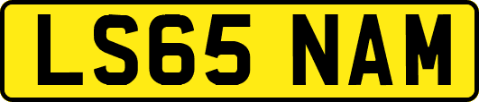 LS65NAM