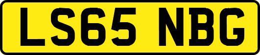 LS65NBG