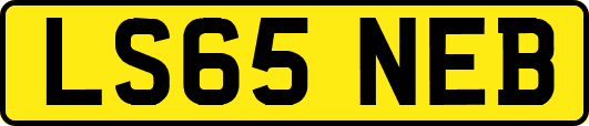 LS65NEB