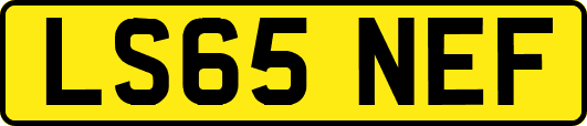 LS65NEF