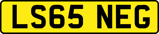 LS65NEG