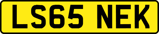 LS65NEK