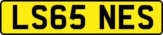 LS65NES