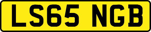 LS65NGB