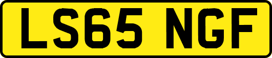 LS65NGF