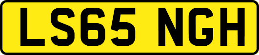 LS65NGH
